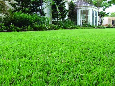 Bayside Sod, Inc.