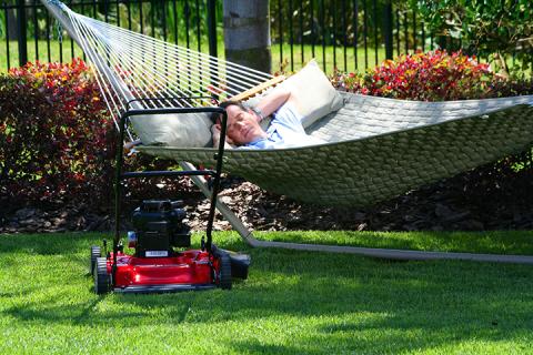 Easy Living in the Sunshine – Florida's Top Choice for Low-Maintenance Lawns