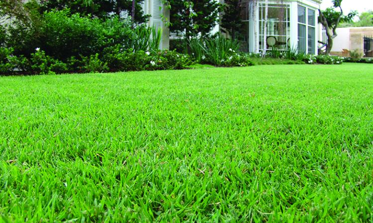 Bayside Sod, Inc.