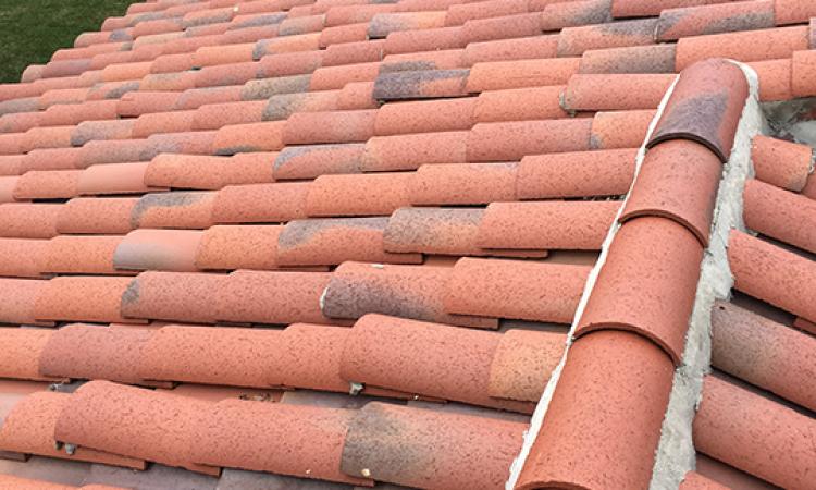 Pierce Building Services 