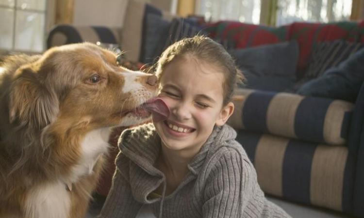 Animal Hospital of Largo’s Holistic Approach to Animal Care